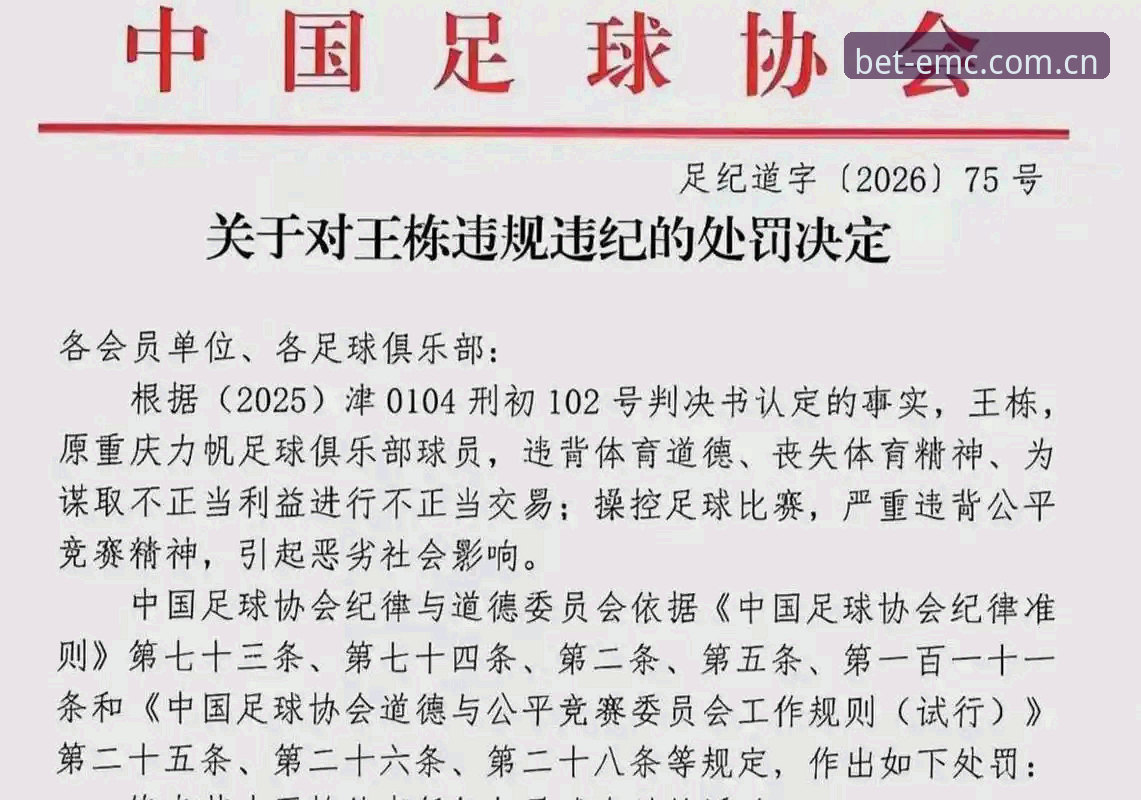 足协第三批禁足名单深度解读：从17人终身禁赛看中国足球治理实用指南